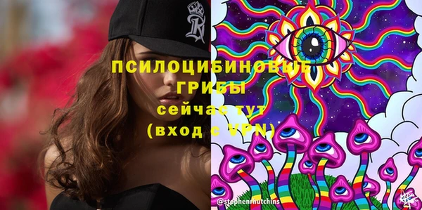 марки lsd Богданович