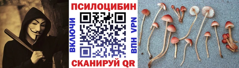 Купить где  Благодарный  Псилоцибиновые грибы мухоморы 