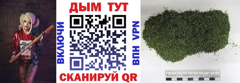 Каннабис ГИДРОПОН  Купить где  Благодарный 